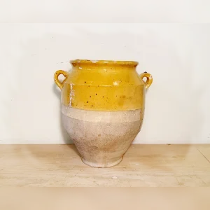 Creamy20and20Delightful20Golden20Garlic20Confit20Pot - ANTIQUITIESWAREHOUSES