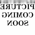 Exclusive20Litho20Stone20Chart20Crafted20by20Hand20for20Accurate20Design - ANTIQUITIESWAREHOUSES