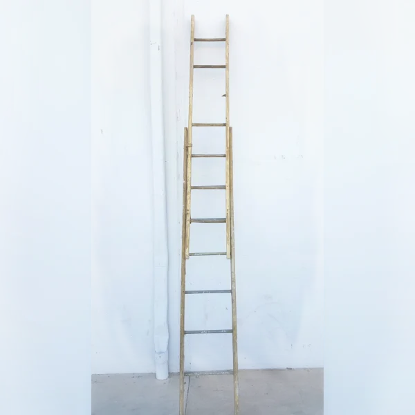 Stylish20and20Reliable20Climbing20Sturdy20Wooden20Extension20Ladder Stylish20and20Reliable20Climbing20Sturdy20Wooden20Extension20Ladder - ANTIQUITIESWAREHOUSES
